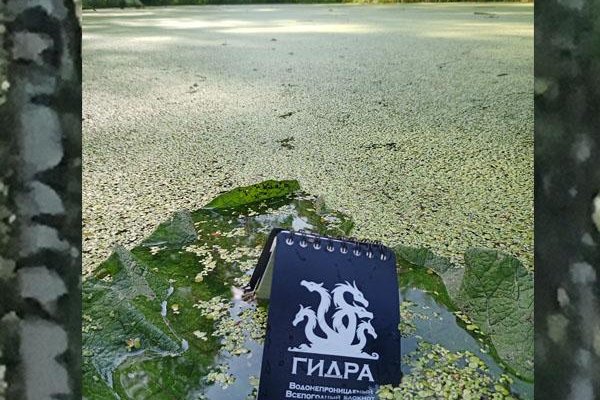Hydra маркетплейс