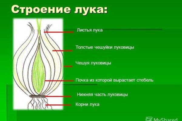 Ссылка в магазин на кракен