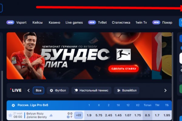 Mega тор